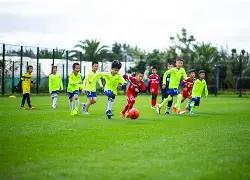 水晶宫能否,在这轮对决,中逆袭升班,AG真人,AG真人游戏平台,AG真人官方