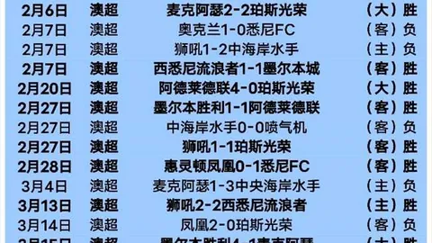 奥斯卡松担任冰岛队长，惊喜任命引发轰动
